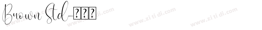 Brown Std字体转换